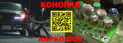 скорость Новозыбков