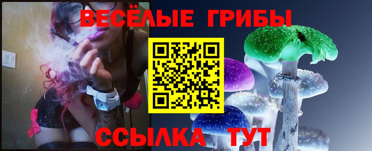 Галлюциногенные грибы Psilocybe  Вход с VPN  Советск 